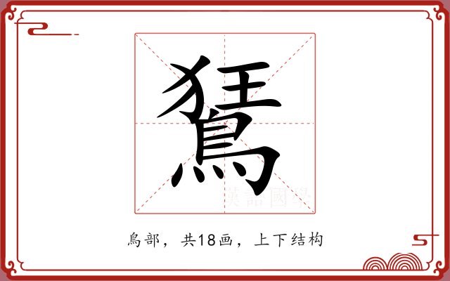 鵟 鵟
